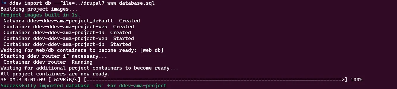 ddev ama-project created